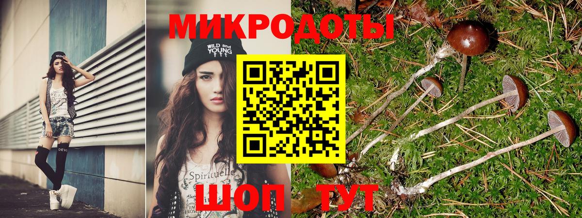 Галлюциногенные грибы мицелий  Вход с VPN  Кисловодск 